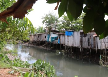 The Tucunduba creek flows into the Guamá River and is part of the recovery projects for COP30, which will be held in Belém.
(Photo: Paulo Santos / Panamazônica, Sept 2024)